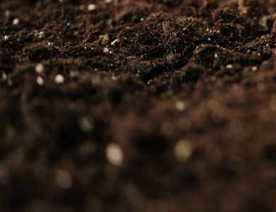 Wat is bodemvervuiling? | Bodemvervuiling uitgelegd | ikgagraven.nl