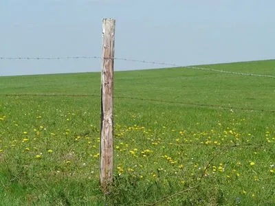 Waar op letten bij handmatig palen in de grond slaan?