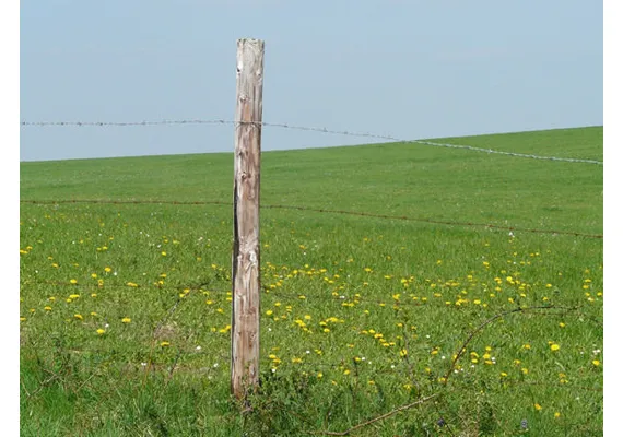 Waar op letten bij handmatig palen in de grond slaan? 